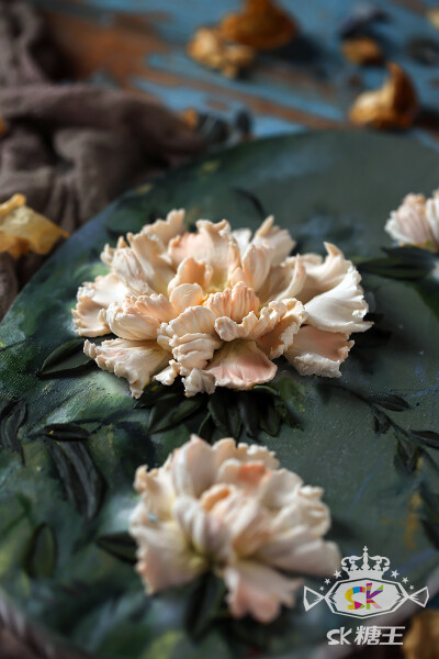 喜欢的可以关注。每日更新