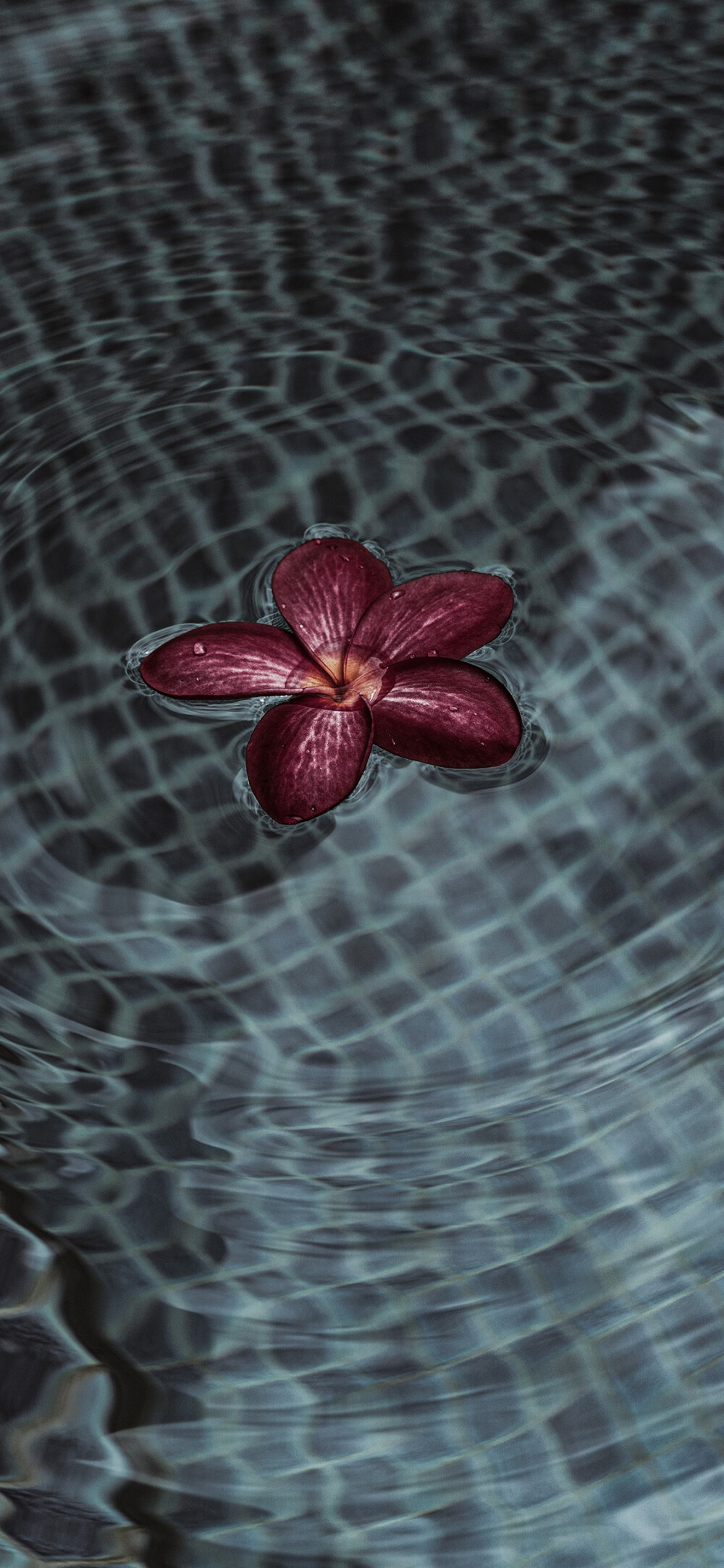 冷淡风°｜全屏壁纸