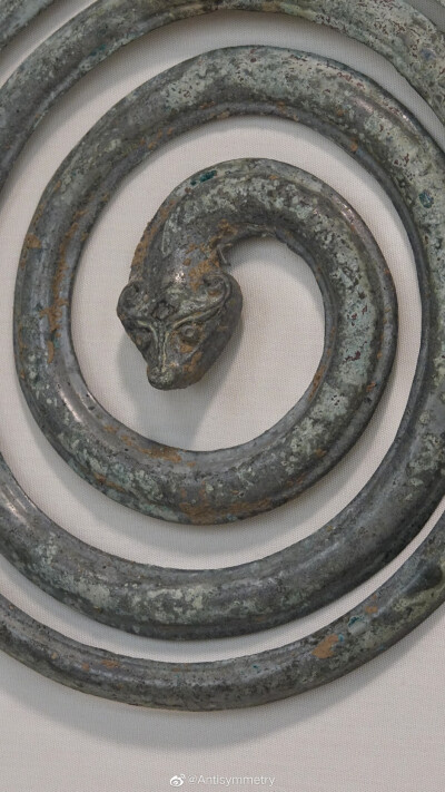 [cp]#圣路易斯艺术博物馆SLAM#
青铜盘蛇，西周 ​​​[/cp]