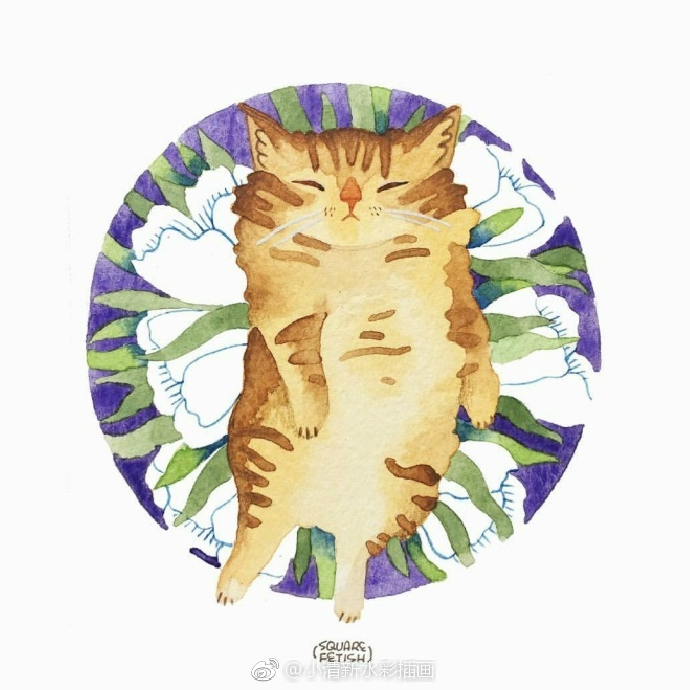 可爱的猫！
by squarefetish ​ ​​