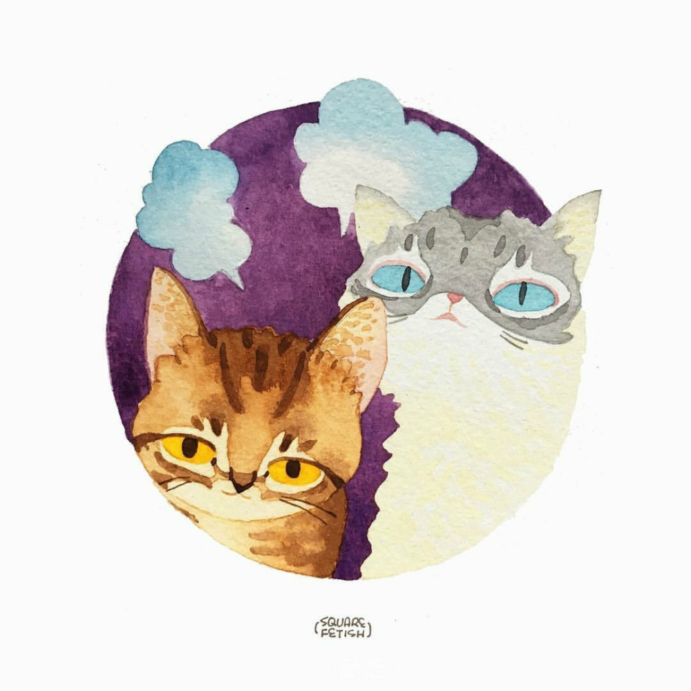 可爱的猫！
by squarefetish ​ ​​