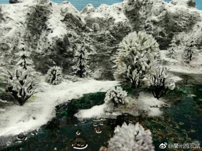 景观模型 雪域风景
雪山风貌 喜欢静距离观看这一滩清泉 喜欢宝石绿的水 身临其境 乐在其中