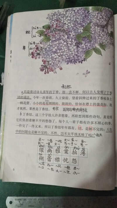 六年级上册，第二颗丁香结笔记
☾☾☾☆☆