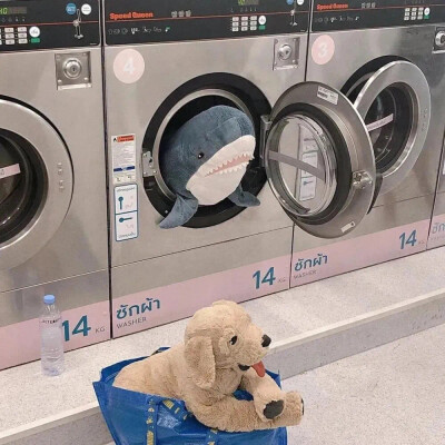 我