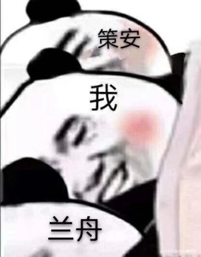 表情包