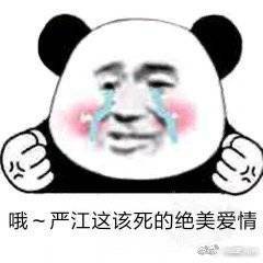 小蘑菇