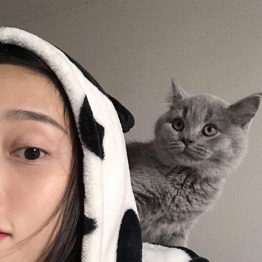 宠物头像
猫猫狗狗
女头