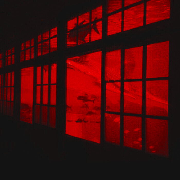 使用注明李优优