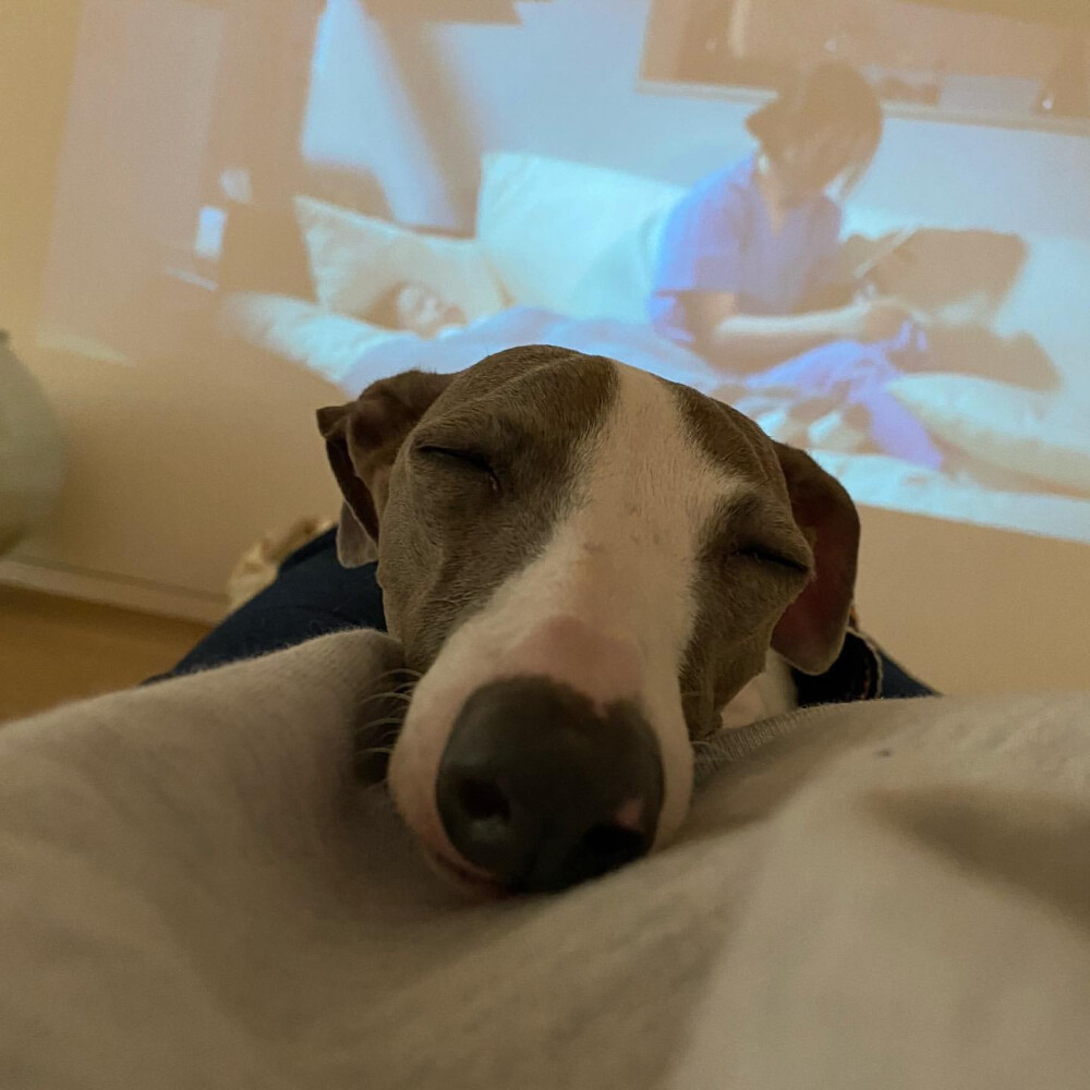 孔晓振 ♥ ♥ ♥
INS：rovvxhyo