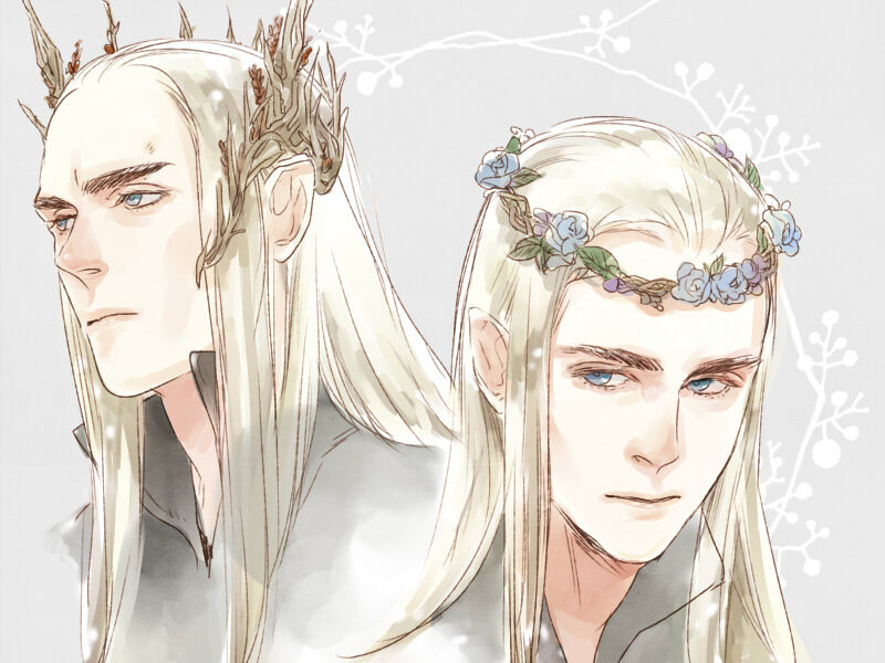 Thranduil
画师 nico p站id=13878813