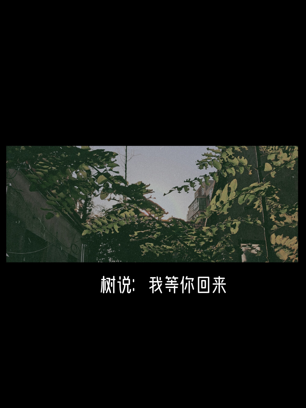 只是夏天啊