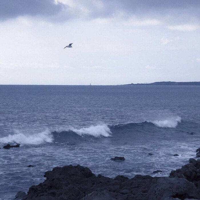 “她还是爱着大海.”
/许乐