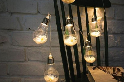 权志龙和小雏菊