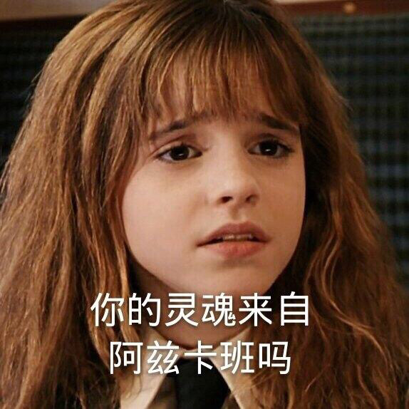 哈利波特表情包