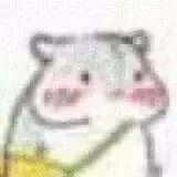 「小仓鼠」 超mini小表情 GIF动图表情