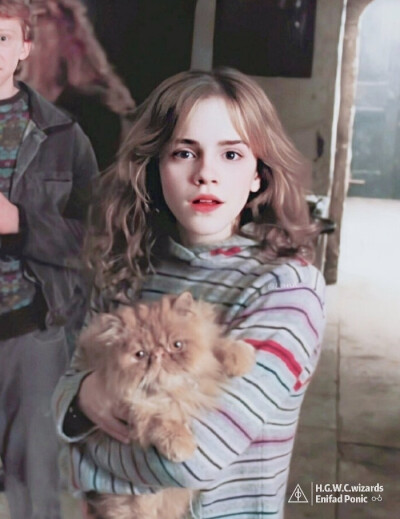 Happy Birthday , Hermione Jane Granger !