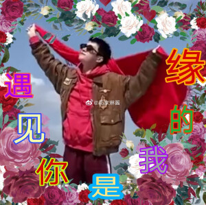 ·易烊千玺 漫改/表情包·