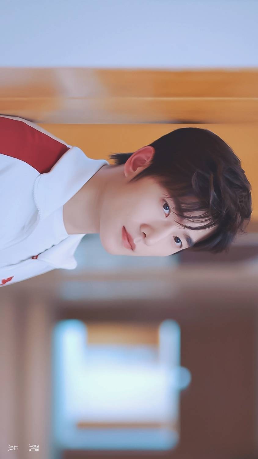 杨洋