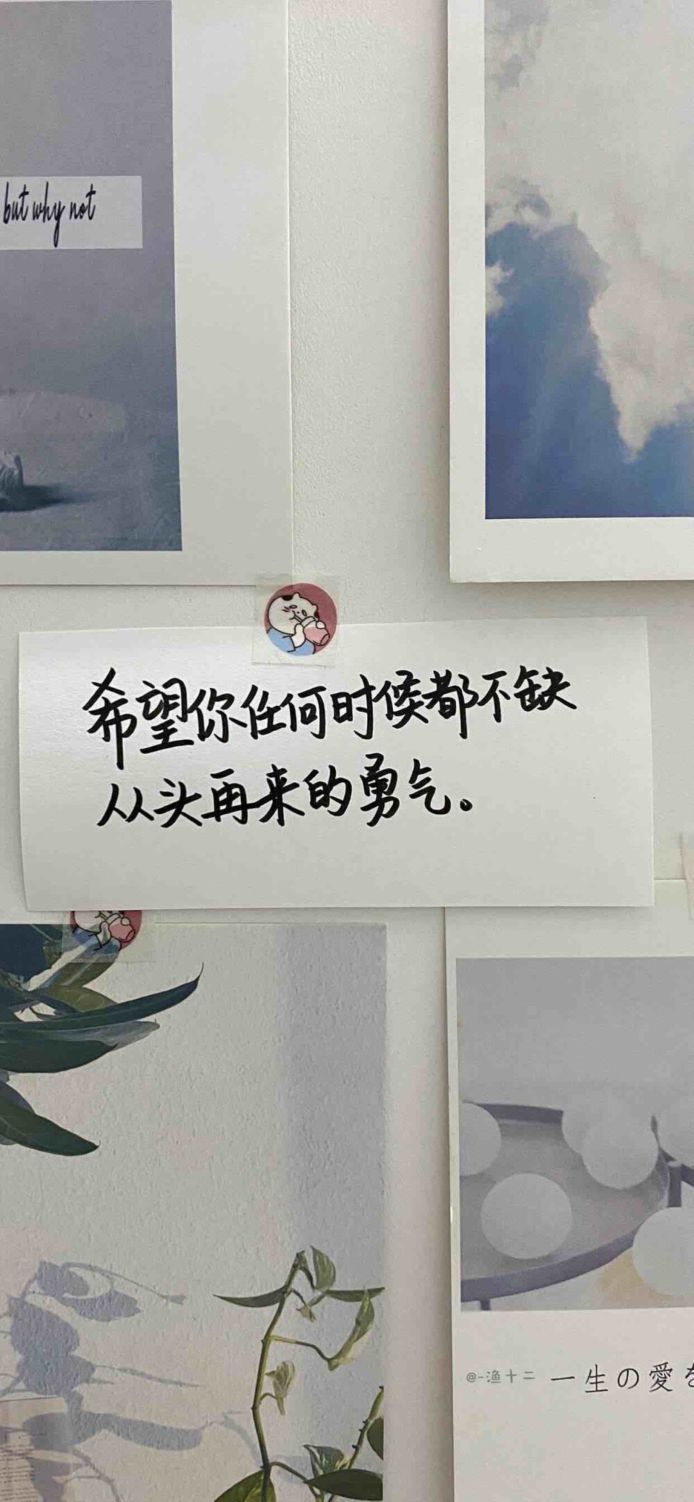 壁纸