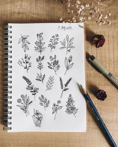 花卉植物线描画 cr:vxgzh彩铅水彩马克笔
