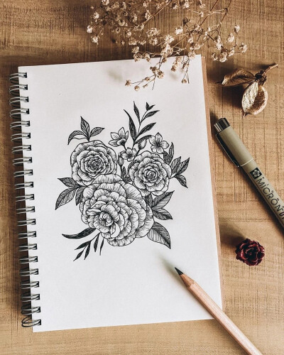 花卉植物线描画 cr :vx彩铅水彩马克笔