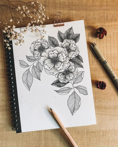 花卉植物线描画 cr :vx彩铅水彩马克笔