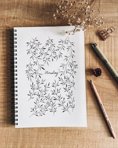 花卉植物线描画 cr :vx彩铅水彩马克笔