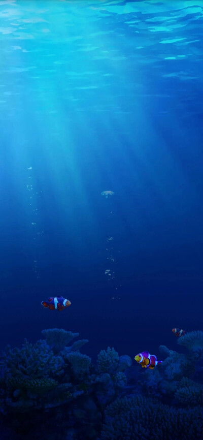 全面屏高清壁纸