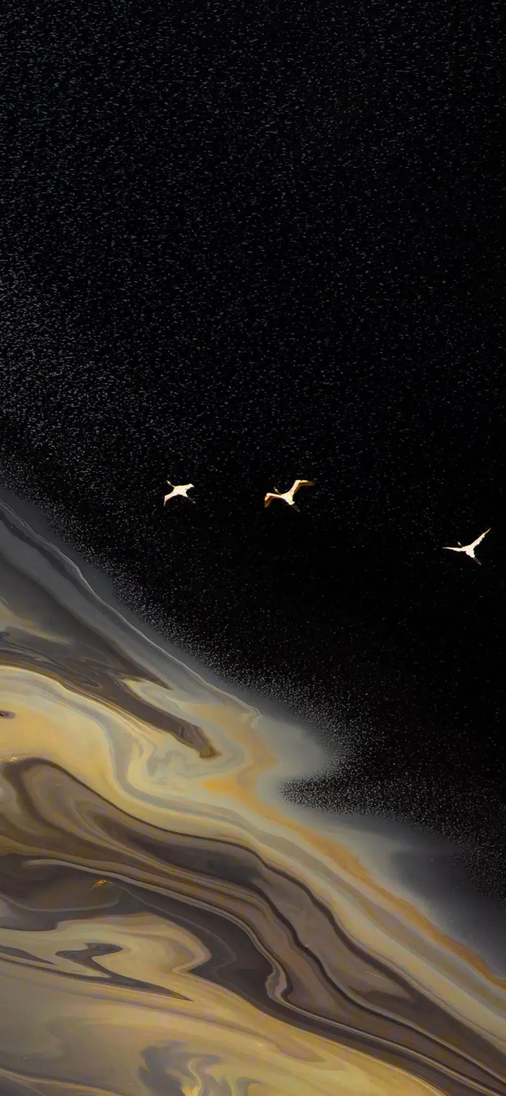 全面屏高清壁纸