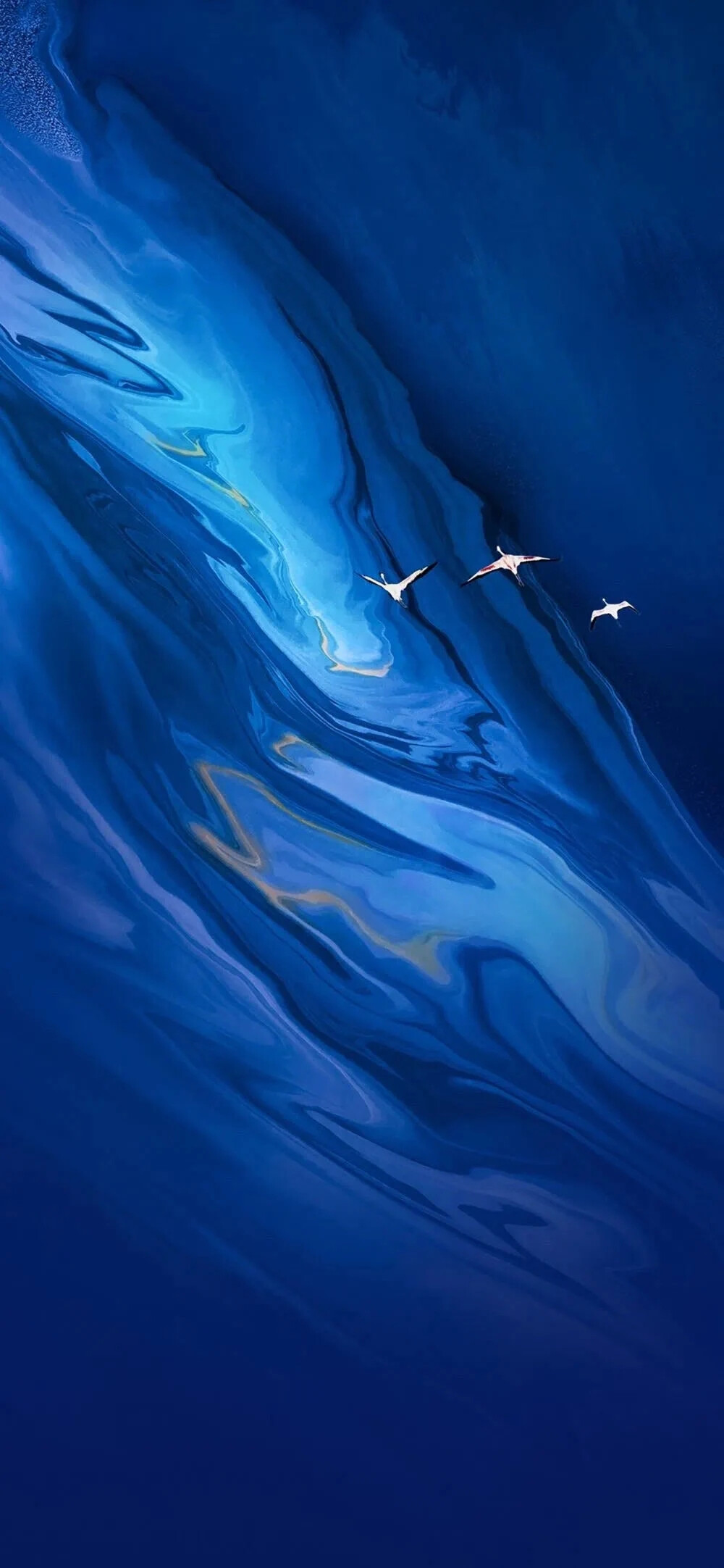 全面屏高清壁纸