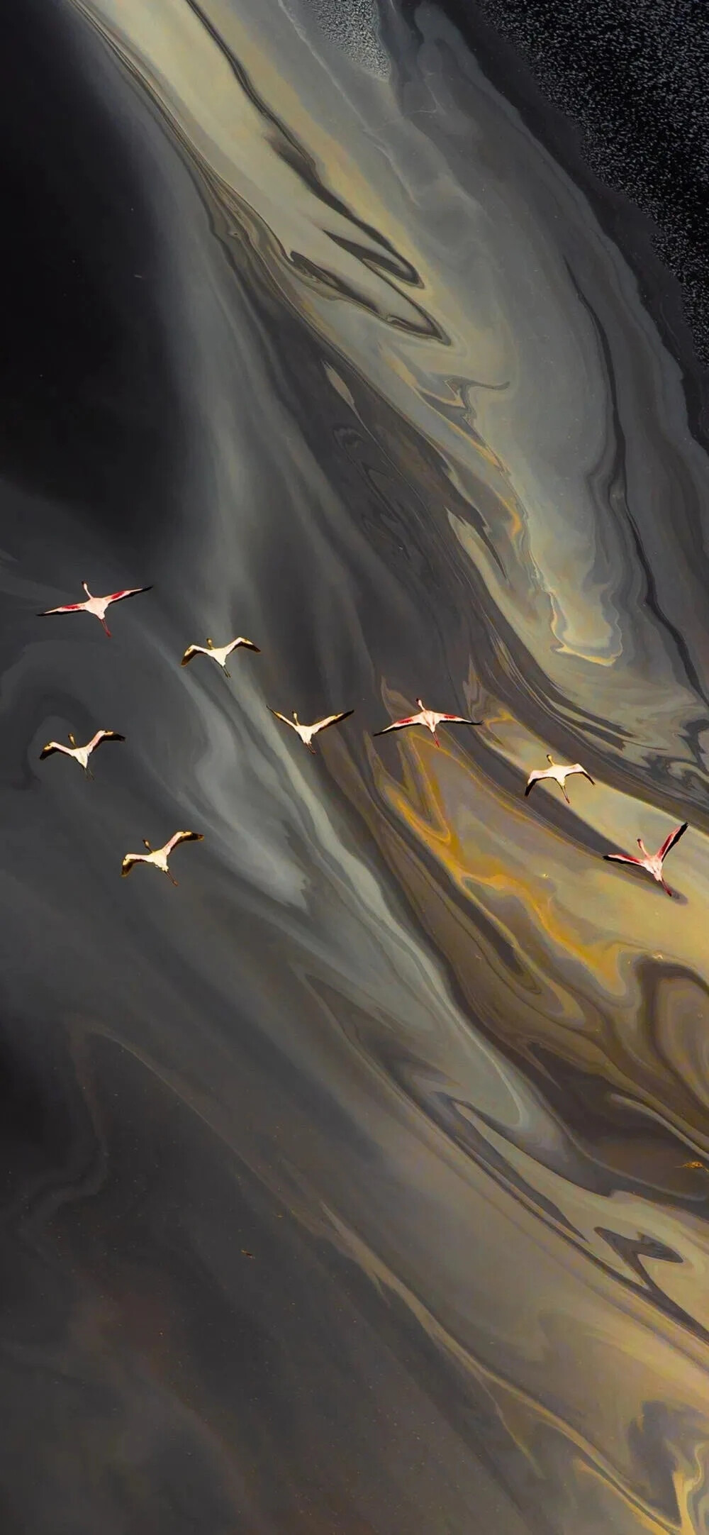 全面屏高清壁纸