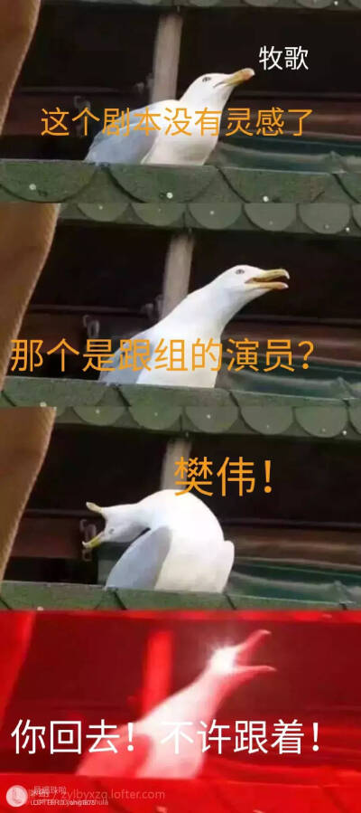 朱白