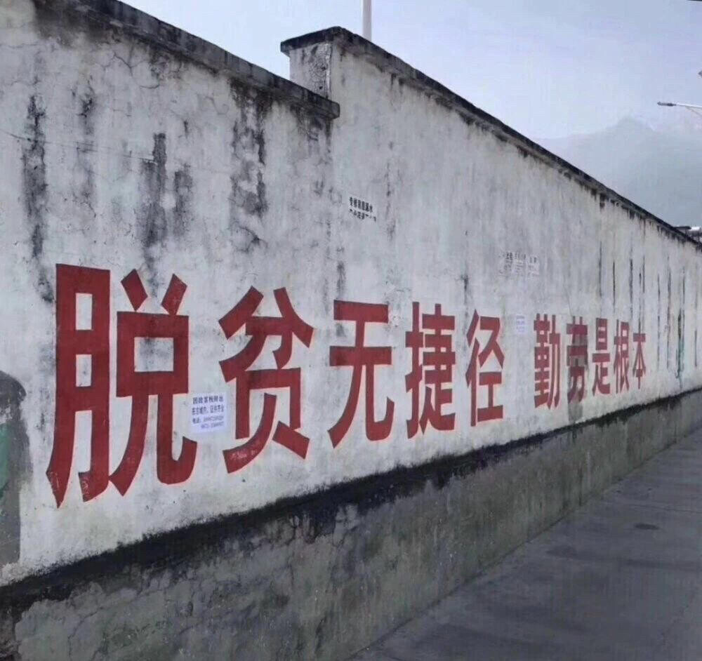 野生文字收集 QQ 微信朋友圈背景图 墙壁上的字
脱贫无捷径 勤劳是根本