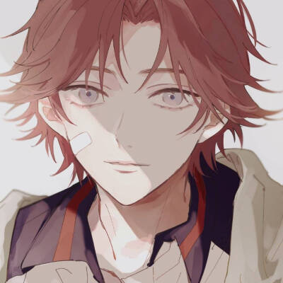 青春学園 不二周助 菊丸英二