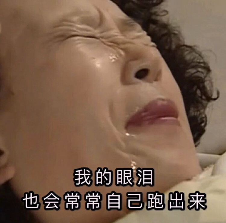 罗文姬表情包