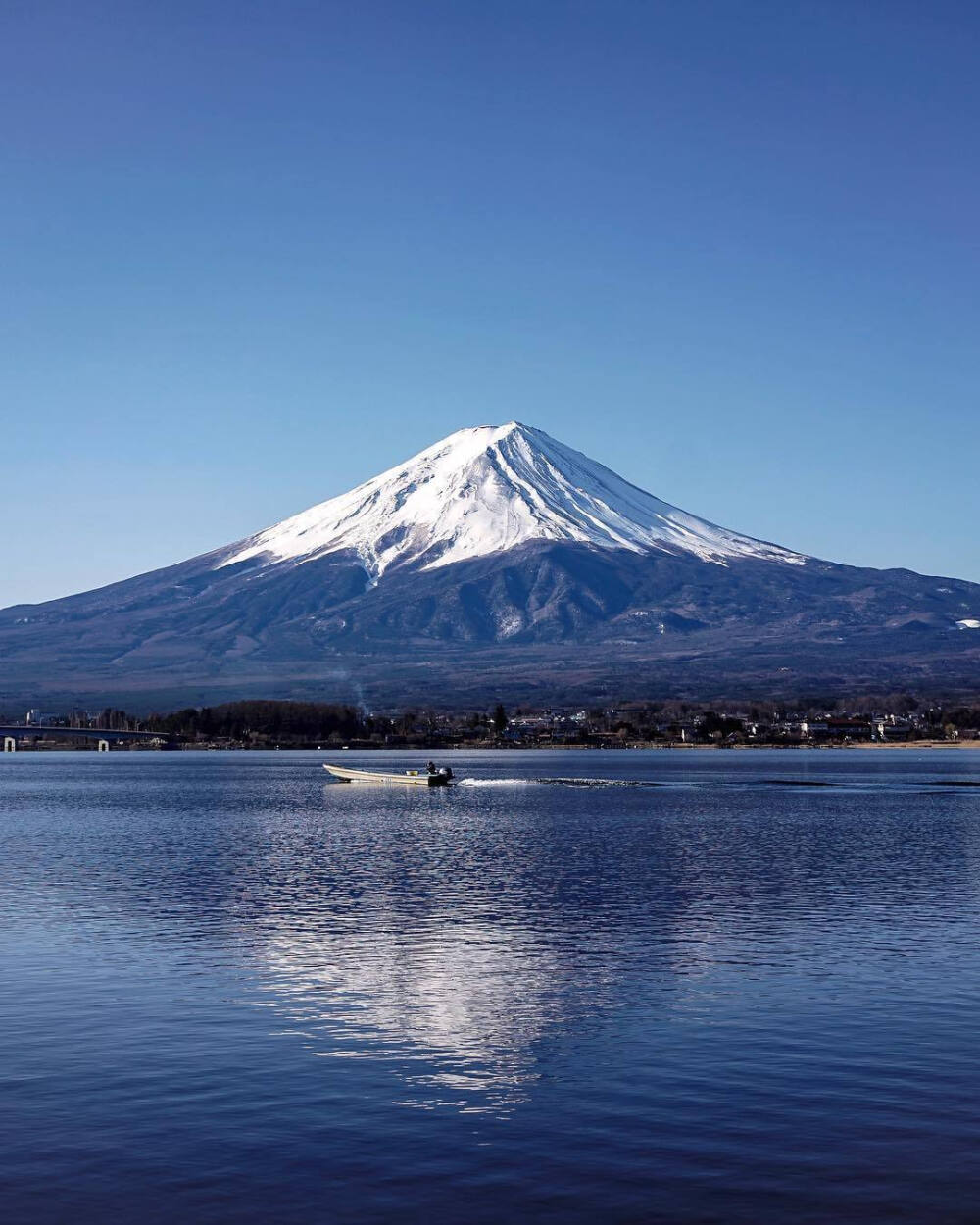 一起去看富士山吗