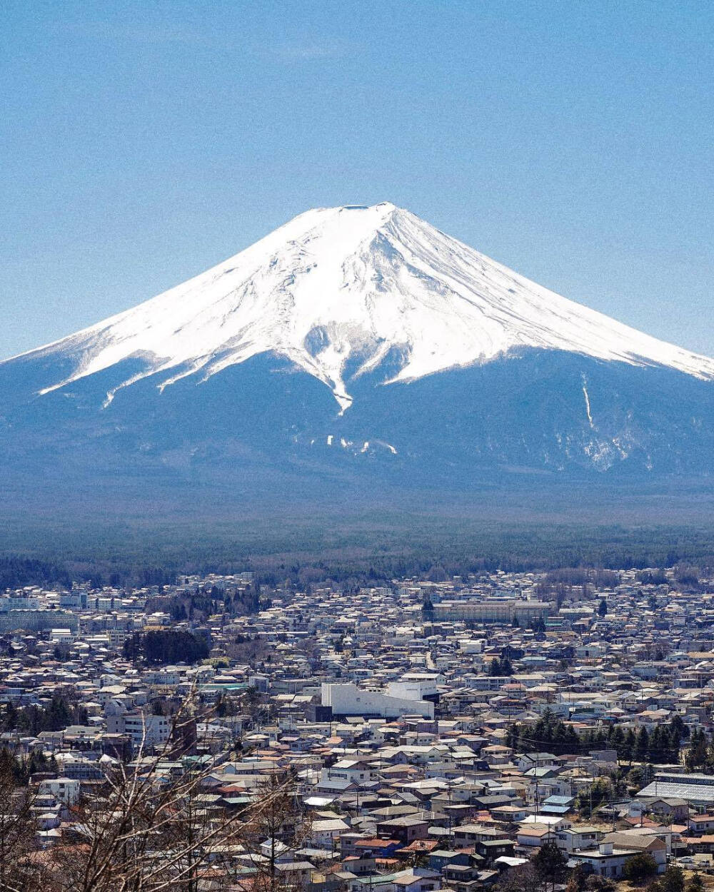 一起去看富士山吗