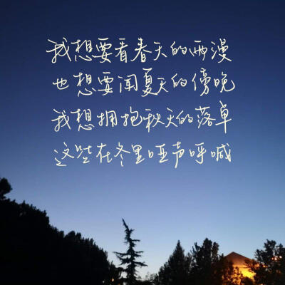 网易云不是网抑云