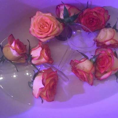 花店不开了 花继续开
鲜花朋友圈背景图