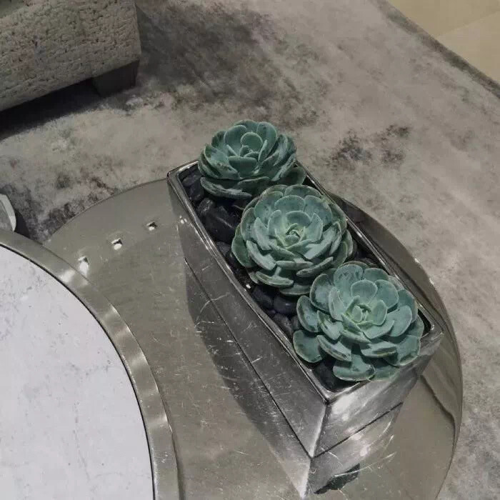 花店不开了 花继续开
鲜花朋友圈背景图