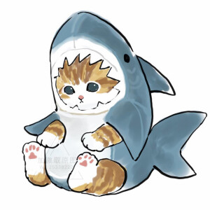 穿鲨鱼衣服的猫咪头像