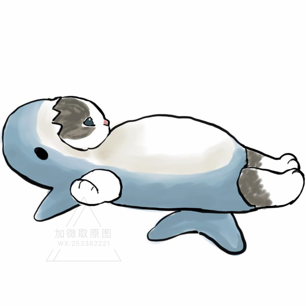穿鲨鱼衣服的猫咪头像