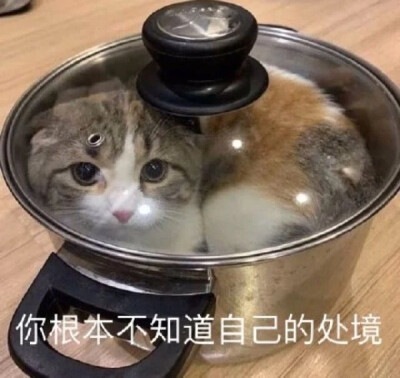 表情包