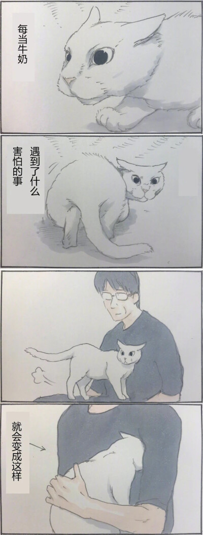 小猫咪治愈日常