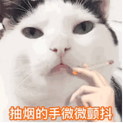 猫猫可爱表情包