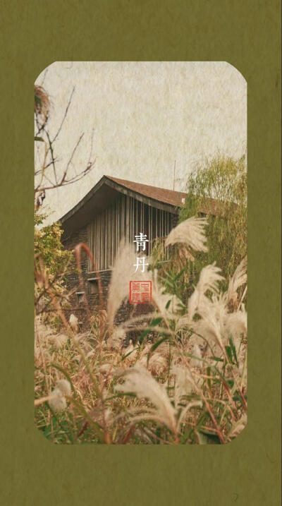 秋意正浓，属于秋季的高级色。
cr：中国美术学院 ​​​