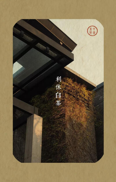 秋意正浓，属于秋季的高级色。
cr：中国美术学院 ​​​