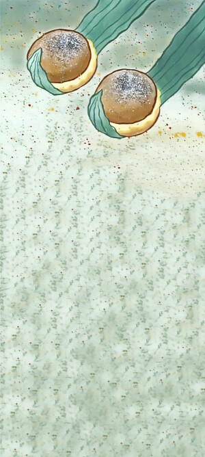 海绵宝宝动画壁纸（全屏）