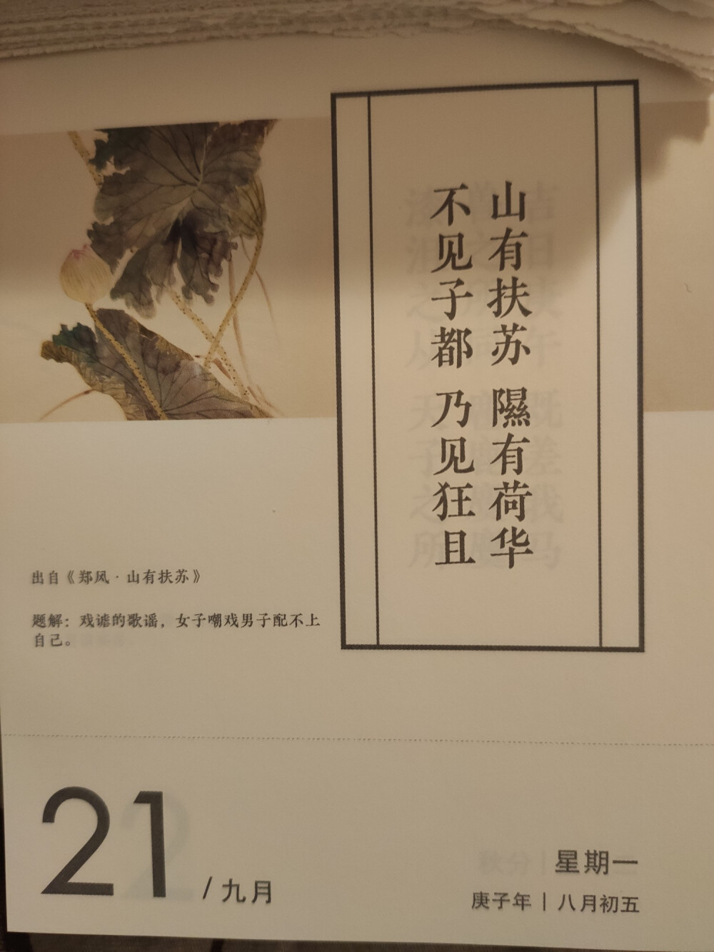 第266日，期望越大，失望越大吧