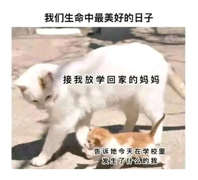 卡通壁纸头像